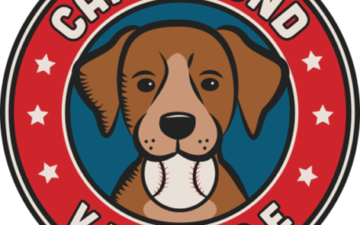 Cardhound Vintage Poll: Opinions Needed!