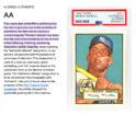 Authentic Altered Understanding